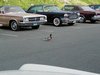 P5150038.jpg