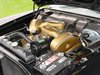 DSC00721.JPG