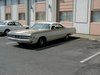 P5150091.jpg