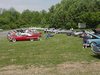 show field.jpg