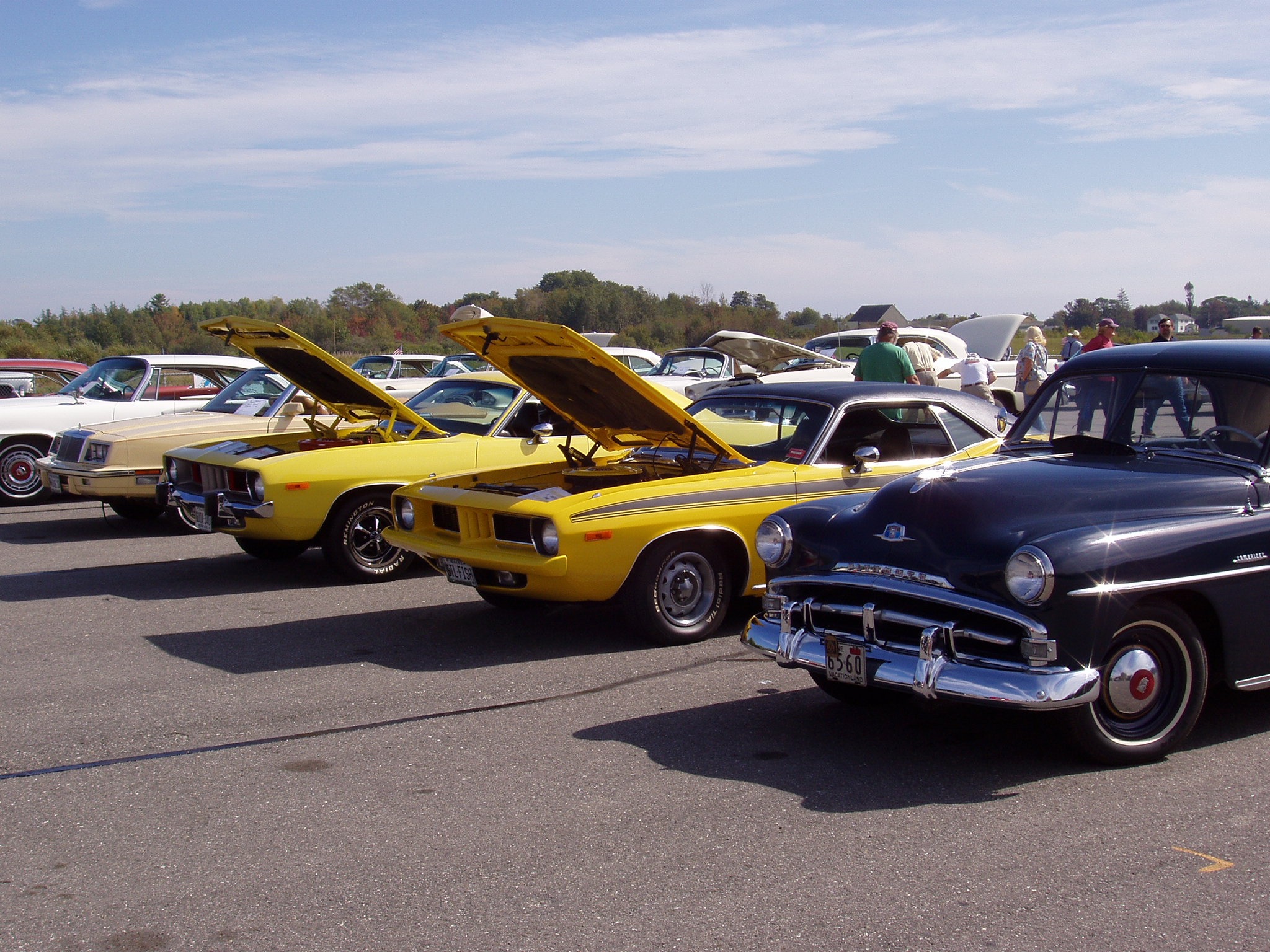 P1010127.JPG, 1/1/02, 718 kB