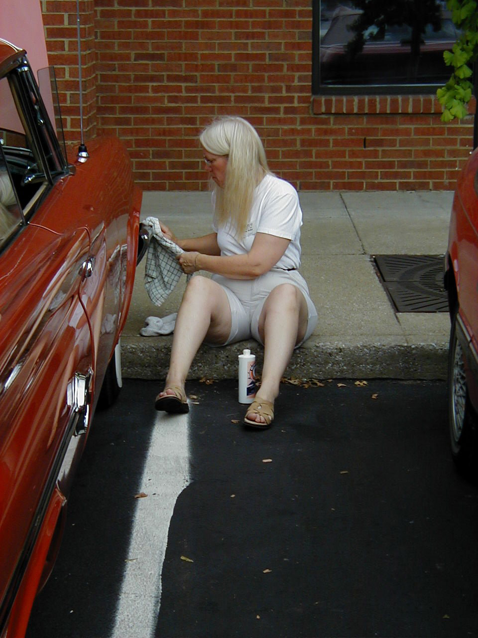 18.jpg, 9/19/02, 239 kB