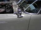 Thumbnail version of 008.jpg, image 8 of 70