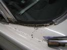 Thumbnail version of 307.jpg, image 8 of 57